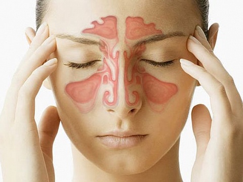 Заболевания ЛОР-органов и органов дыхания